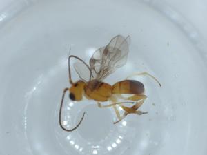  ( - BIOUG57006-C06)  @11 [ ] CreativeCommons - Attribution (2020) Centre for Biodiversity Genomics Centre for Biodiversity Genomics