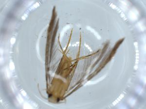  ( - BIOUG57011-F03)  @11 [ ] CreativeCommons - Attribution (2020) Centre for Biodiversity Genomics Centre for Biodiversity Genomics