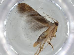  ( - BIOUG57029-B02)  @11 [ ] CreativeCommons - Attribution (2020) Centre for Biodiversity Genomics Centre for Biodiversity Genomics