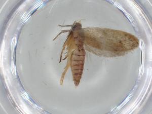  ( - BIOUG57029-E03)  @11 [ ] CreativeCommons - Attribution (2020) Centre for Biodiversity Genomics Centre for Biodiversity Genomics