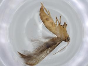  ( - BIOUG57044-B10)  @11 [ ] CreativeCommons - Attribution (2020) Centre for Biodiversity Genomics Centre for Biodiversity Genomics