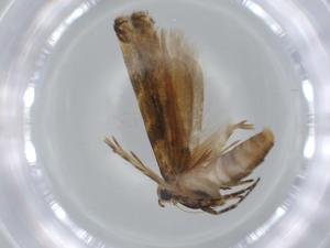  ( - BIOUG57044-B07)  @11 [ ] CreativeCommons - Attribution (2020) Centre for Biodiversity Genomics Centre for Biodiversity Genomics