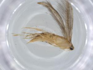  ( - BIOUG57044-D02)  @11 [ ] CreativeCommons - Attribution (2020) Centre for Biodiversity Genomics Centre for Biodiversity Genomics