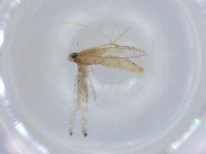  ( - BIOUG57044-F06)  @11 [ ] CreativeCommons - Attribution (2020) Centre for Biodiversity Genomics Centre for Biodiversity Genomics