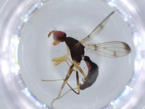  ( - BIOUG55770-D10)  @12 [ ] CreativeCommons - Attribution (2020) Centre for Biodiversity Genomics Centre for Biodiversity Genomics