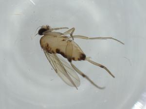  ( - BIOUG59003-G01)  @11 [ ] CreativeCommons - Attribution (2020) Centre for Biodiversity Genomics Centre for Biodiversity Genomics