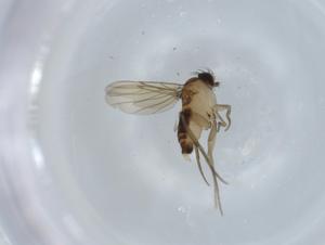  ( - BIOUG59012-F07)  @11 [ ] CreativeCommons - Attribution (2020) Centre for Biodiversity Genomics Centre for Biodiversity Genomics