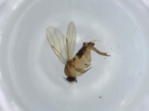  ( - BIOUG59038-A04)  @11 [ ] CreativeCommons - Attribution (2020) Centre for Biodiversity Genomics Centre for Biodiversity Genomics