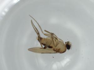  ( - BIOUG59049-A05)  @11 [ ] CreativeCommons - Attribution (2020) Centre for Biodiversity Genomics Centre for Biodiversity Genomics