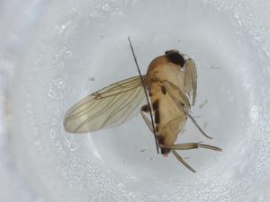  ( - BIOUG59779-D06)  @11 [ ] CreativeCommons - Attribution (2020) Centre for Biodiversity Genomics Centre for Biodiversity Genomics