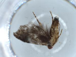  ( - BIOUG57123-E05)  @11 [ ] CreativeCommons - Attribution (2020) Centre for Biodiversity Genomics Centre for Biodiversity Genomics