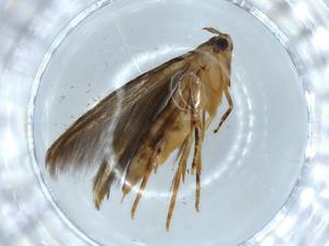  ( - BIOUG57136-H03)  @11 [ ] CreativeCommons - Attribution (2020) Centre for Biodiversity Genomics Centre for Biodiversity Genomics