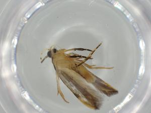  ( - BIOUG59830-C04)  @11 [ ] CreativeCommons - Attribution (2021) Centre for Biodiversity Genomics Centre for Biodiversity Genomics