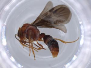  ( - BIOUG59834-C01)  @11 [ ] CreativeCommons - Attribution (2021) Centre for Biodiversity Genomics Centre for Biodiversity Genomics