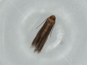  ( - BIOUG60535-F05)  @11 [ ] CreativeCommons - Attribution (2020) Centre for Biodiversity Genomics Centre for Biodiversity Genomics