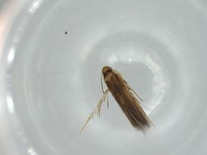  ( - BIOUG60504-B03)  @11 [ ] CreativeCommons - Attribution (2020) Centre for Biodiversity Genomics Centre for Biodiversity Genomics