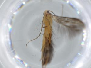  ( - BIOUG60972-E05)  @11 [ ] CreativeCommons - Attribution (2020) Centre for Biodiversity Genomics Centre for Biodiversity Genomics