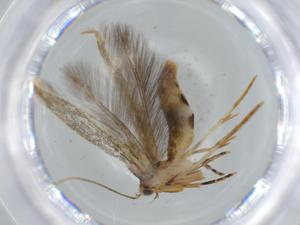  ( - BIOUG60991-E09)  @11 [ ] CreativeCommons - Attribution (2020) Centre for Biodiversity Genomics Centre for Biodiversity Genomics