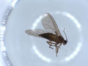  ( - BIOUG51344-B07)  @12 [ ] CreativeCommons - Attribution (2019) Centre for Biodiversity Genomics Centre for Biodiversity Genomics