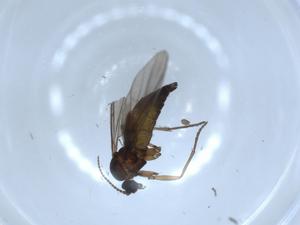  ( - BIOUG51344-D12)  @12 [ ] CreativeCommons - Attribution (2019) Centre for Biodiversity Genomics Centre for Biodiversity Genomics