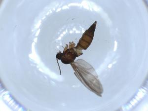  ( - BIOUG51344-E02)  @12 [ ] CreativeCommons - Attribution (2019) Centre for Biodiversity Genomics Centre for Biodiversity Genomics