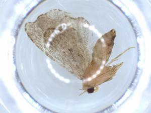  ( - BIOUG51354-G02)  @11 [ ] CreativeCommons - Attribution (2019) Centre for Biodiversity Genomics Centre for Biodiversity Genomics