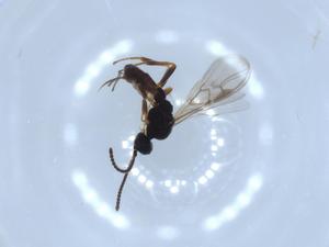  ( - BIOUG51561-G02)  @12 [ ] CreativeCommons - Attribution (2019) Centre for Biodiversity Genomics Centre for Biodiversity Genomics