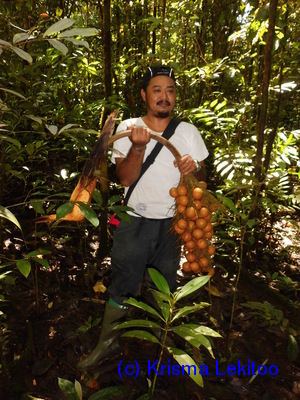  ( - CH_1228)  @11 [ ] CreativeCommons - Attribution Non-Commercial Share-Alike (2013) Charlie Heatubun UNIPA, Manokwari, Papua