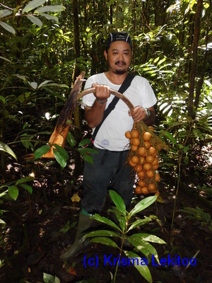  ( - CH_1228)  @11 [ ] CreativeCommons - Attribution Non-Commercial Share-Alike (2013) Charlie Heatubun UNIPA, Manokwari, Papua