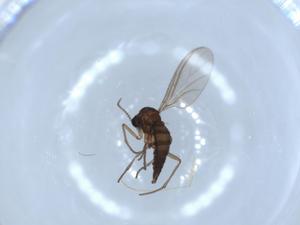  ( - BIOUG52037-G05)  @12 [ ] CreativeCommons - Attribution (2020) Centre for Biodiversity Genomics Centre for Biodiversity Genomics