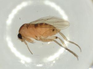  ( - BIOUG52244-E03)  @12 [ ] CreativeCommons - Attribution (2020) Centre for Biodiversity Genomics Centre for Biodiversity Genomics