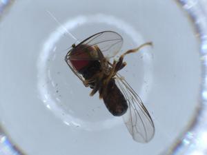  ( - BIOUG52571-C08)  @11 [ ] CreativeCommons - Attribution (2020) Centre for Biodiversity Genomics Centre for Biodiversity Genomics