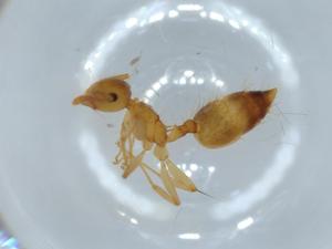  ( - BIOUG53176-C03)  @11 [ ] CreativeCommons - Attribution (2020) Centre for Biodiversity Genomics Centre for Biodiversity Genomics