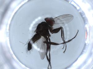  ( - BIOUG53189-H11)  @11 [ ] CreativeCommons - Attribution (2020) Centre for Biodiversity Genomics Centre for Biodiversity Genomics