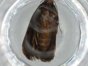  ( - BIOUG61467-E08)  @11 [ ] CreativeCommons - Attribution (2020) Centre for Biodiversity Genomics Centre for Biodiversity Genomics