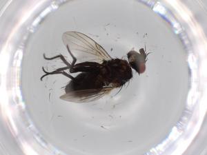  ( - BIOUG60895-D05)  @11 [ ] CreativeCommons - Attribution (2020) Centre for Biodiversity Genomics Centre for Biodiversity Genomics