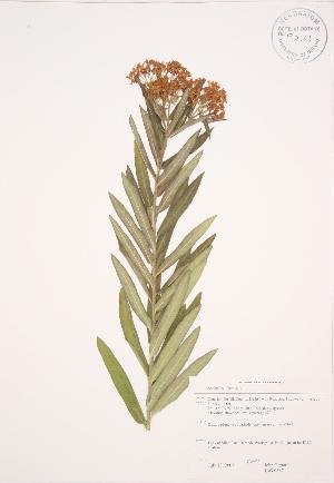  ( - JAG 0667)  @11 [ ] Copyright (2009) Steven Newmaster University of Guelph BIO Herbarium