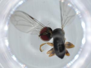  ( - BIOUG61817-C08)  @11 [ ] CreativeCommons - Attribution (2020) Centre for Biodiversity Genomics Centre for Biodiversity Genomics