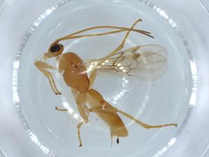  ( - BIOUG53160-B10)  @11 [ ] CreativeCommons - Attribution (2020) Centre for Biodiversity Genomics Centre for Biodiversity Genomics