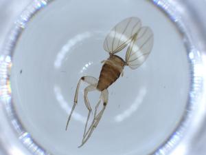  ( - BIOUG54188-B03)  @12 [ ] CreativeCommons - Attribution (2020) Centre for Biodiversity Genomics Centre for Biodiversity Genomics