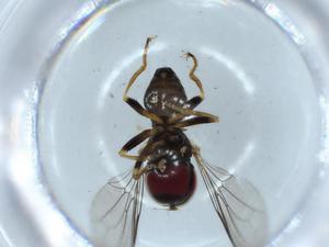  ( - BIOUG54267-G03)  @11 [ ] CreativeCommons - Attribution (2020) Centre for Biodiversity Genomics Centre for Biodiversity Genomics