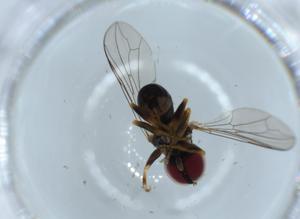  ( - BIOUG54301-D06)  @11 [ ] CreativeCommons - Attribution (2020) Centre for Biodiversity Genomics Centre for Biodiversity Genomics