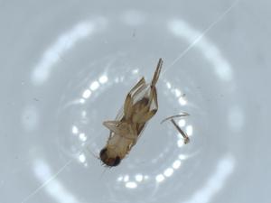  ( - BIOUG54278-C05)  @11 [ ] CreativeCommons - Attribution (2020) Centre for Biodiversity Genomics Centre for Biodiversity Genomics