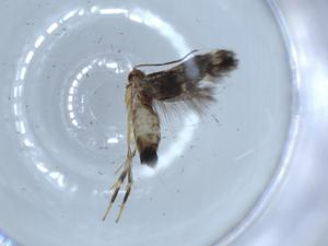  ( - BIOUG54310-A07)  @11 [ ] CreativeCommons - Attribution (2020) Centre for Biodiversity Genomics Centre for Biodiversity Genomics