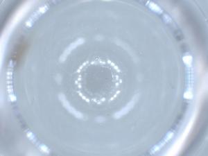  ( - BIOUG54500-B06)  @11 [ ] CreativeCommons - Attribution (2020) Centre for Biodiversity Genomics Centre for Biodiversity Genomics