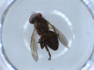  ( - BIOUG54310-G07)  @11 [ ] CreativeCommons - Attribution (2020) Centre for Biodiversity Genomics Centre for Biodiversity Genomics