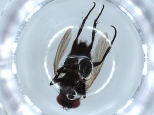  ( - BIOUG54552-B02)  @11 [ ] CreativeCommons - Attribution (2020) Centre for Biodiversity Genomics Centre for Biodiversity Genomics