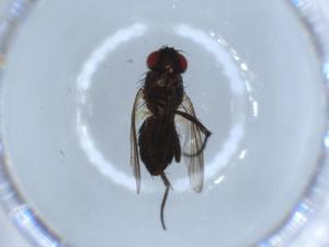  ( - BIOUG54755-C07)  @11 [ ] CreativeCommons - Attribution (2020) Centre for Biodiversity Genomics Centre for Biodiversity Genomics