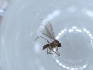  ( - BIOUG54513-G01)  @11 [ ] CreativeCommons - Attribution (2020) Centre for Biodiversity Genomics Centre for Biodiversity Genomics