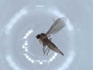  ( - BIOUG54873-D05)  @11 [ ] CreativeCommons - Attribution (2020) Centre for Biodiversity Genomics Centre for Biodiversity Genomics